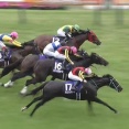 【競馬】G1・2勝のアスコリピチェーノが現役引退　骨盤骨折の疑いで復帰めど立たず