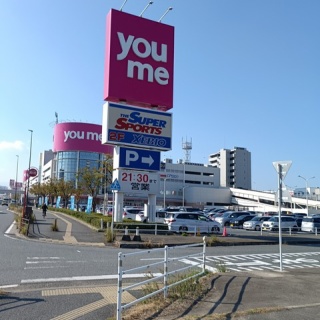 天才みにまりすと