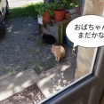本日の私