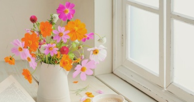 息子が帰省してくるので、今日は掃除デー