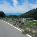 保福寺峠