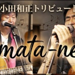 ＴＯＹＡギター　（夢を形に、趣味のオーダーメイドギター）