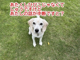 嬉しい緊急事態発生！！