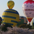 ��Ǯ����ۥ�������ץ��裱����������Х롼��졼�����������ס٤β���