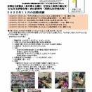 常陸どこ竹ニュース（２０２５年１２月号）発行