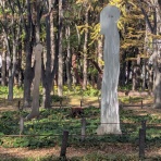 白雲かあさん迷走時々瞑想