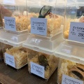 インドネシアワイルド便入荷