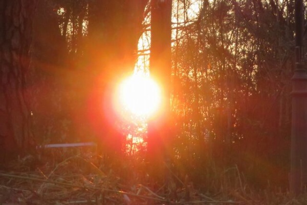 私の散歩道 年03月