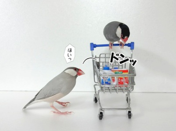 買い物のお供にジルたんを