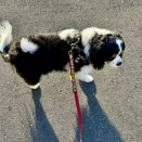 はじめまして…のトライキャバに遭遇 / 早くも夏バテ開始？