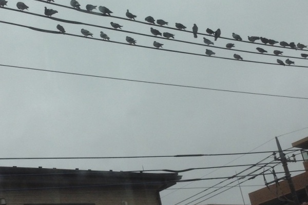 Noriko S Room September 2013