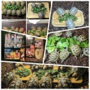 春のスタートUP支援キャンペーン開催致します！