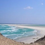 『美しいソコトラ島』の画像