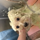 【トリミングブログ】春夏オススメオプション