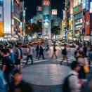 HSPの「脳内オーバーヒート」を冷却する。ゴツコラ サプリと奪還する、己の静寂。