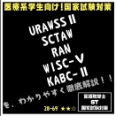 28-69 URAWSSⅡ SCTAW RAN WISC-Ⅴ KABC-Ⅱを、わかりやすく徹底解説！！