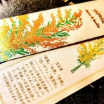 小高千早の毎日生ハム