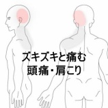 『起床時にズキズキ痛む左後側頭部の頭痛と左肩・首の重だるさ　登別室蘭すのさき鍼灸整骨院　症例報告』の画像