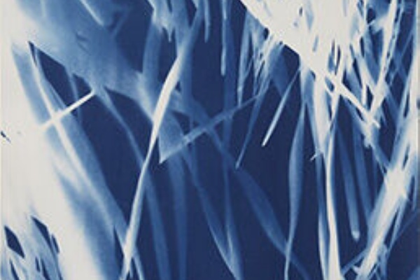 ギャラリー ヨクト