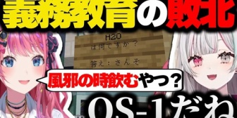 【にじさんじ】めるち、「例の看板」に本家越えの珍回答ｗ【あらなみマイクラ】