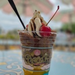 hanaのディズニーとおでかけ