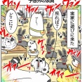実家に行ったら意外な収穫があった話