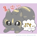 一寸先はねこ