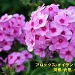 田舎記者の手帳
