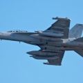 U.S.NAVY EA-18G VAQ-135”BlackRavens”