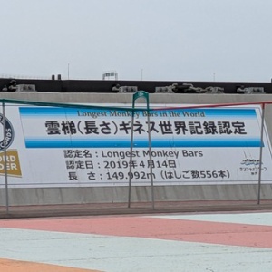 世界一長い雲梯