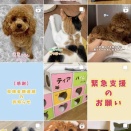 【ご支援ありがとうございました！】新しいエアコン、設置に至るまで〜（その１）
