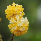 ＡＳＥＡＮ、「救世主は？」強まる経済停滞感、産業高度化阻む中国の安値攻勢「日本がレアアース精錬支援」