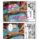 花火ちゃん 新たな問題が‥？
