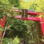 凸こころのひとり日記凹