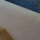 生き方が好きでもいいじゃないか！ ～燃える（萌える？）生命の木 ハン物語～ ⑤