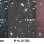 "モレキュール"の騎行