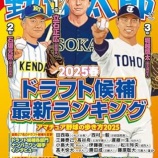 『調査書』の画像