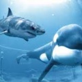 魚「よし陸で一旗あげるぞ！」「エラ呼吸？もう使わないからいらんな」　これマジで糞バカだよな？残してくれたらクッソ役立ったのに