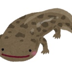 スマブラ屋さん | スマブラSPまとめ攻略