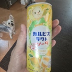 Bな日常