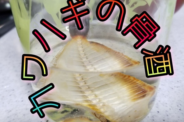 釣海38 相模湾の釣れてる魚と料理 Amp オススメアイテム 釣りは人を幸せにしますね かわはぎ