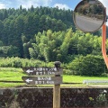 不思議な道に遭遇