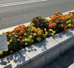 【宝塚市 イベント】はなくる地球環境再生ツアー参加者募集！
