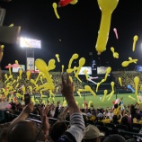 『阪神とDeNA』の画像