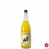 『【冬季限定】自分好みのアレンジで和歌山のみかんを楽しもう。「富士白ミカンチュウハイの素」』の画像