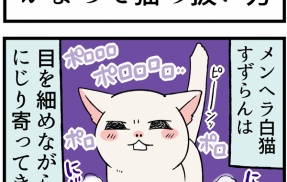 取扱注意な「かまってちゃん猫」の上手な扱い方