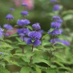 彼と私の35年