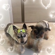 楽しくお別れ♪