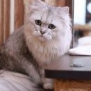 空きが出ました。