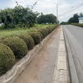 通学路美化活動